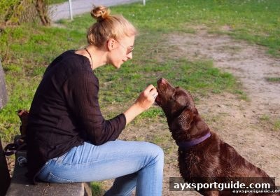 爱游戏体育下载深度解析：LOL职业联赛直播中的盈利与损失心理全透视