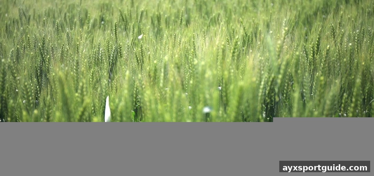 爱游戏体育下载深度解析：3D彩票电子游艺数据分析工具优选与实战策略