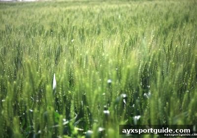 爱游戏体育下载深度解析：3D彩票电子游艺数据分析工具优选与实战策略