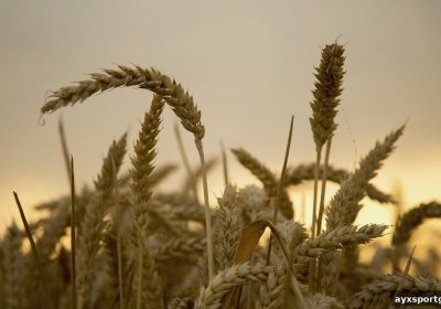 ETH娱乐洗码返佣深度指南:爱游戏体育下载带你玩转返佣政策